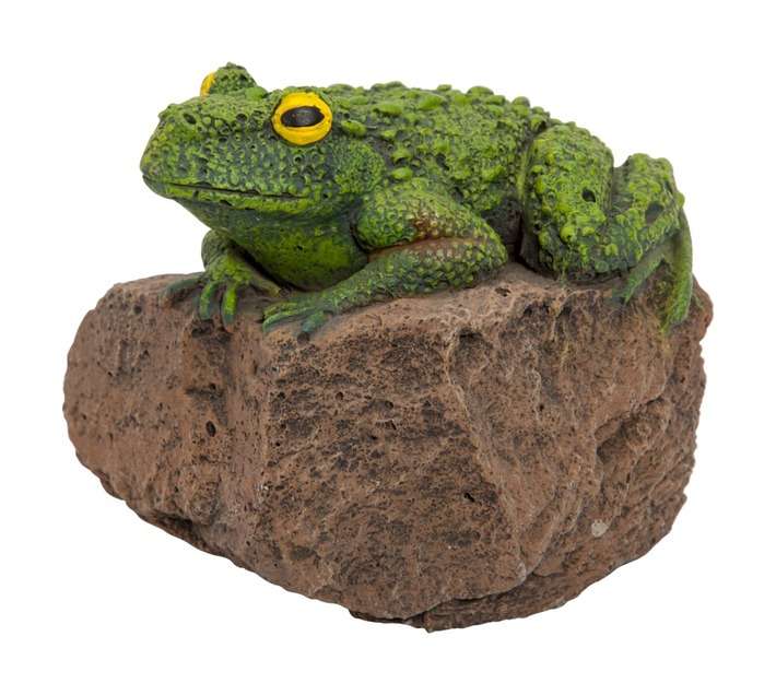 Wildcrete Garden Frog