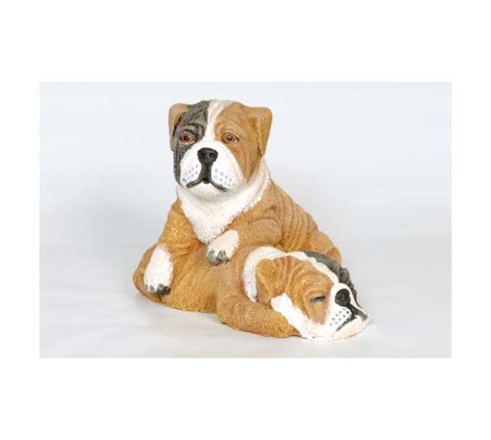 Wildcrete Bulldog PuppyB