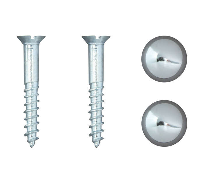 Dejay Mirror Screw (2 Pack)