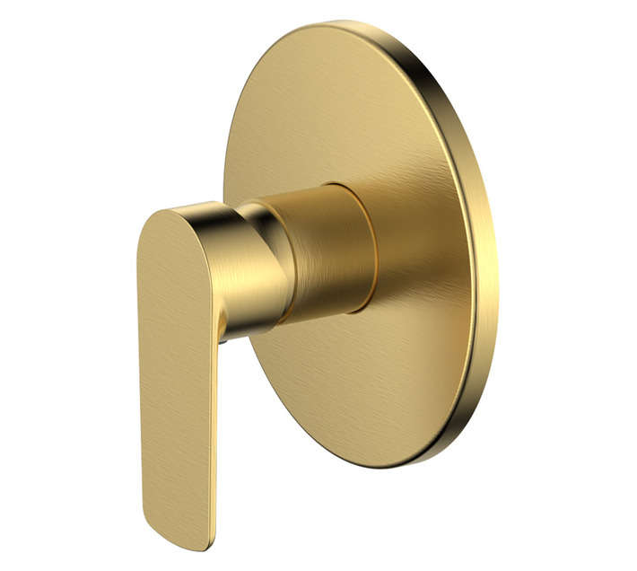 CONC SHOWER MIXER - BR GLD
