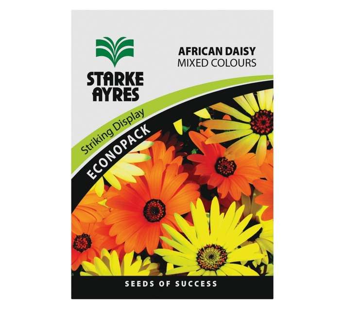 African Daisy Seeds (20g)Swee