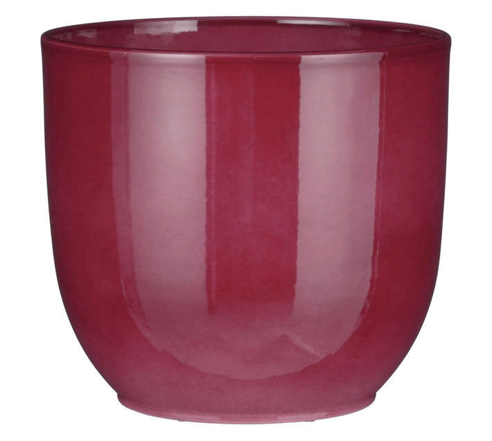 First Dutch Brands Tusca Ceramic Pot - Ruby (200 x 225mm)