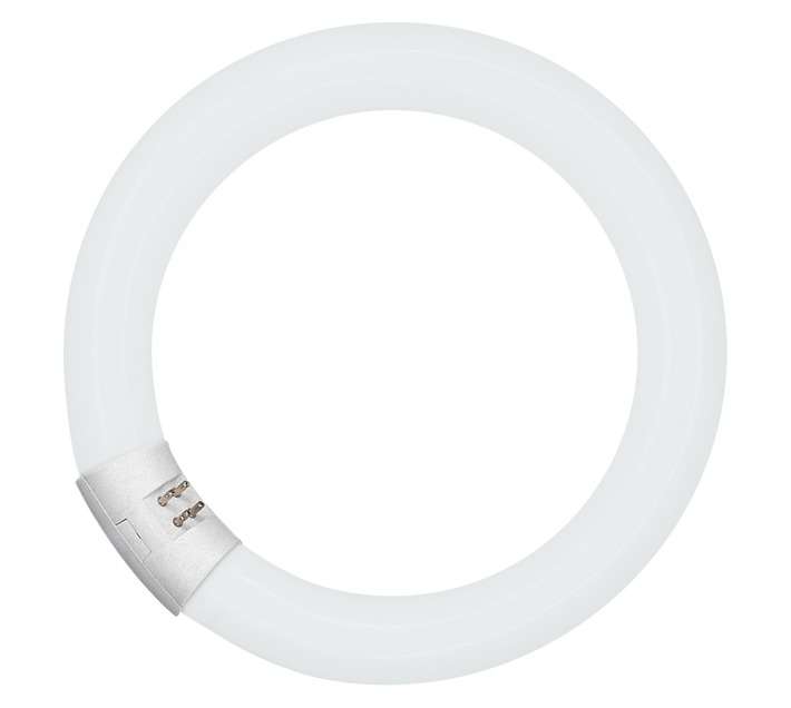 Osram Circular Fluorescent Tube (22W)