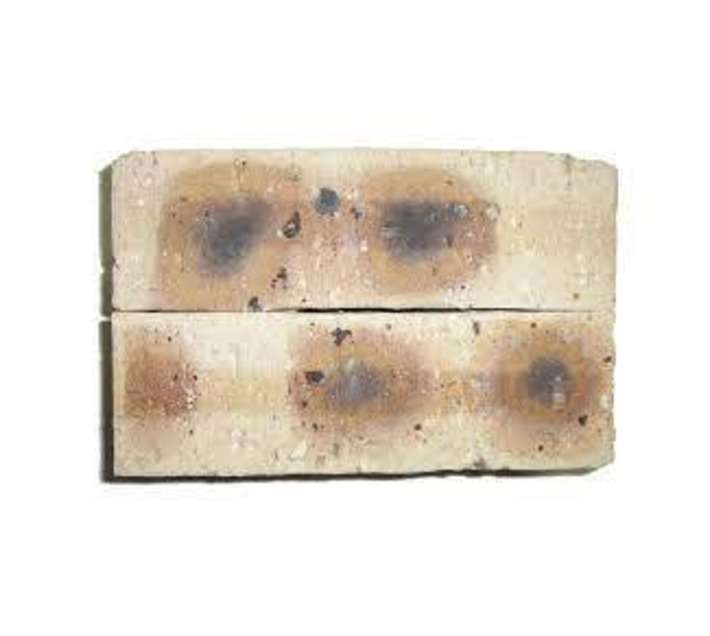 West End Clay Brick and Roofing FBS Dapple Multi Mix Clay Brick - Light Travertine (221 x 100 x 7...