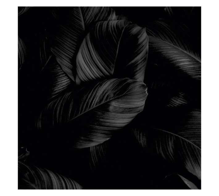 Parrot Products Feathers Hob Splashback - Black (898 x 6 x 700mm)