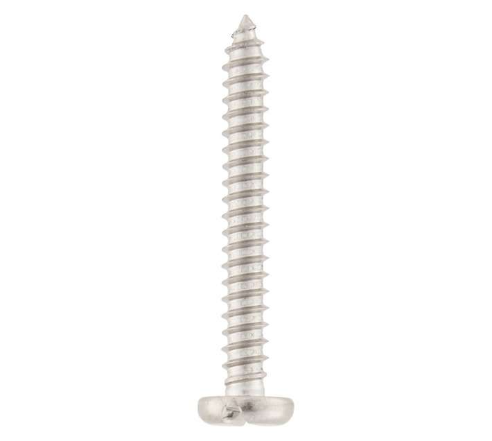 Safe Top PPSSSTPH1038 10 x Stainless Steel Self Tapping Screws (10 x 38mm)