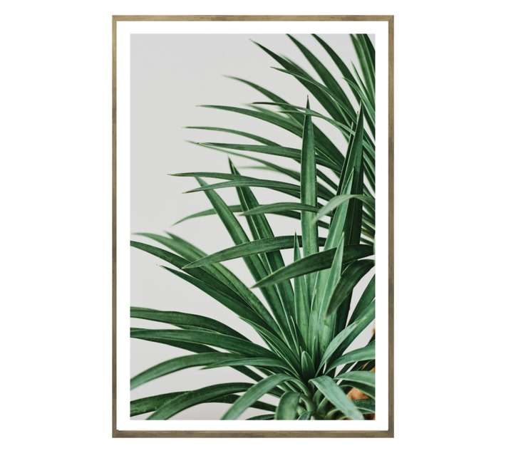 Amber Bay Green Leaf Framed Canvas Print - Green (620 x 920mm)