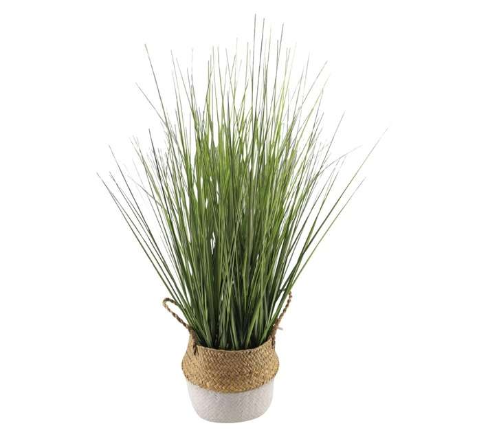 Direkshinz Artificial Reeds in Basket - Green