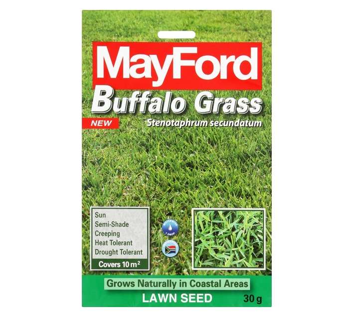 Mayford Z0000948 Buffalo Grass Seeds