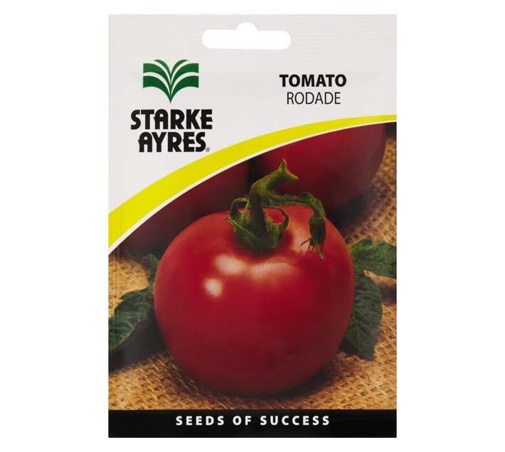 Tomato Seeds Polypack SEED TOMATO POLYPACK