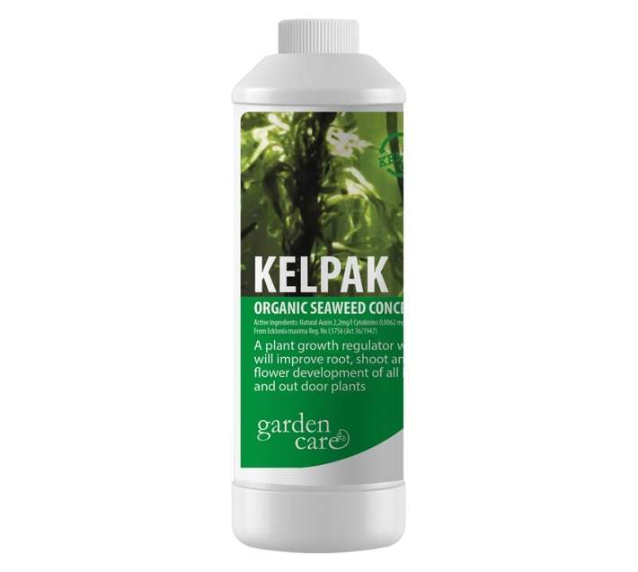 Starke Ayres Kelpak 1L