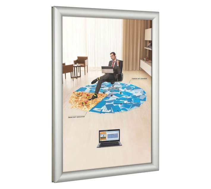 Parrot Products BG1203 Double Sided Window A3 Poster Frame