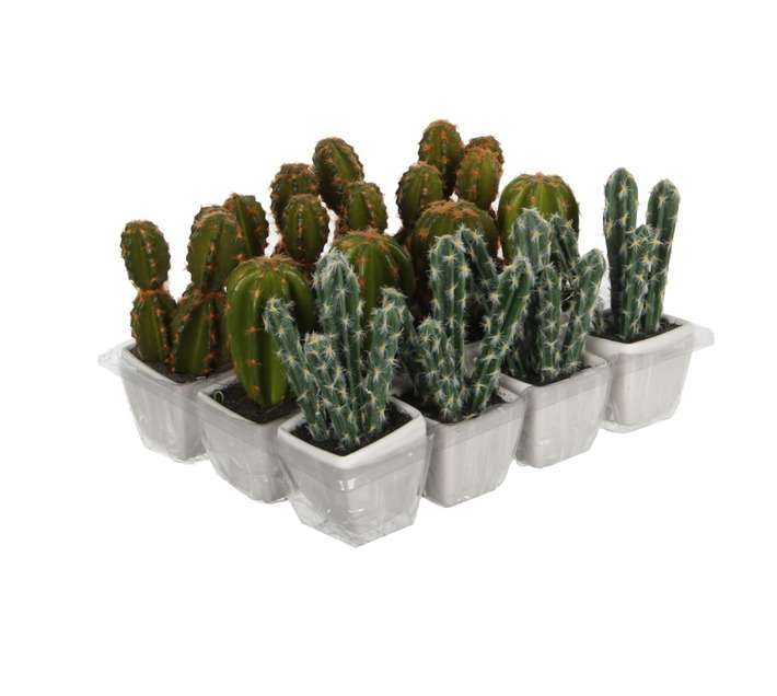 Cactus Potted Plant - Assorted (70 x 70 x 140mm)