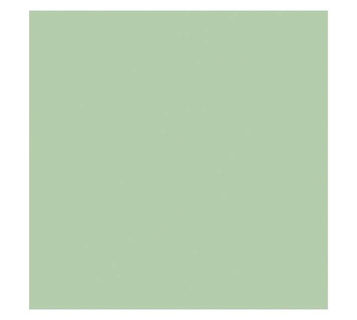 Parrot Products Hob Splashback - Pastel Green (898 x 6 x 700mm)