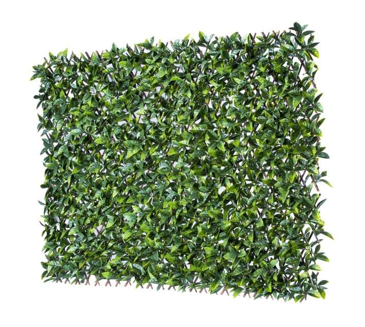 Sophia Wall Expander Screen - Green (2000 x 1000mm)