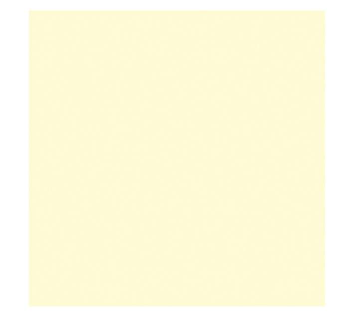 Parrot Products Hob Splashback - Beige (898 x 6 x 700mm)
