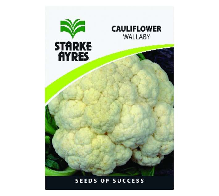 Cauliflower Seeds Polypack