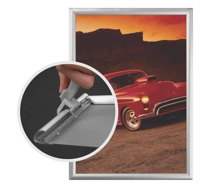 Parrot Products BG1104 Security A4 Poster Frame