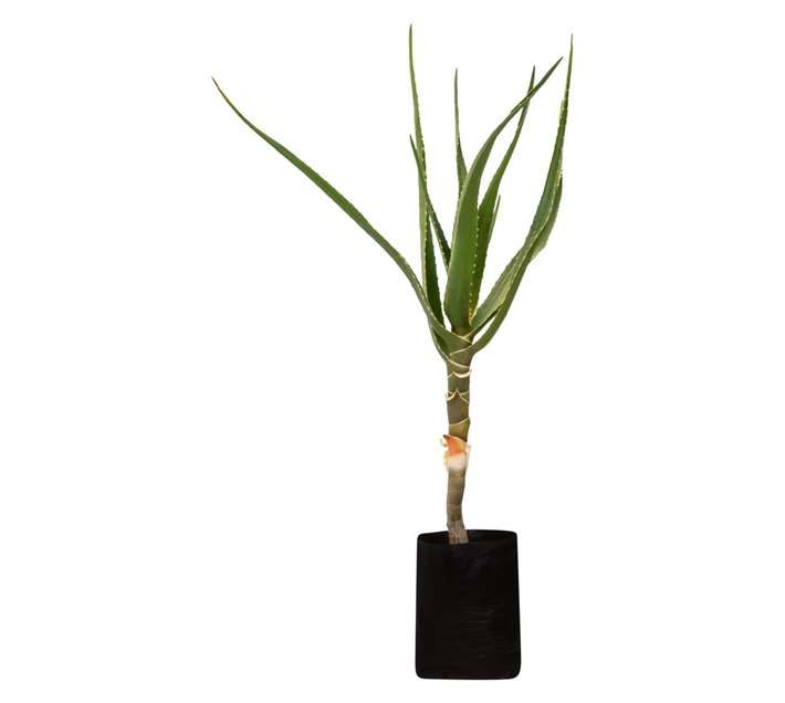 Colorweis Aloe Bag (10L)