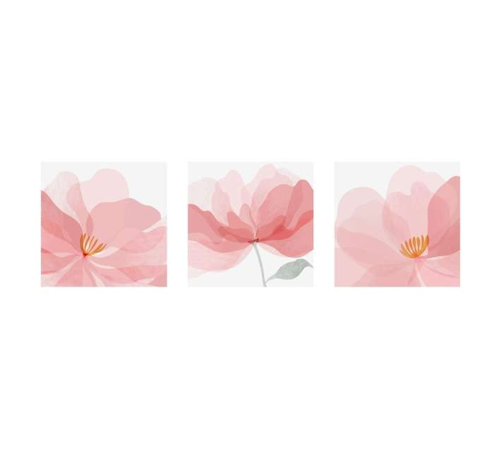 Design House 3 Piece Flower Canvas Print - Pink (600 x 900mm)