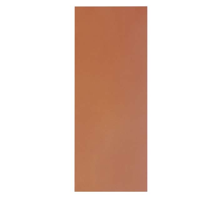 1/2 Hour Fire Masonite Door (813 x 2032mm)