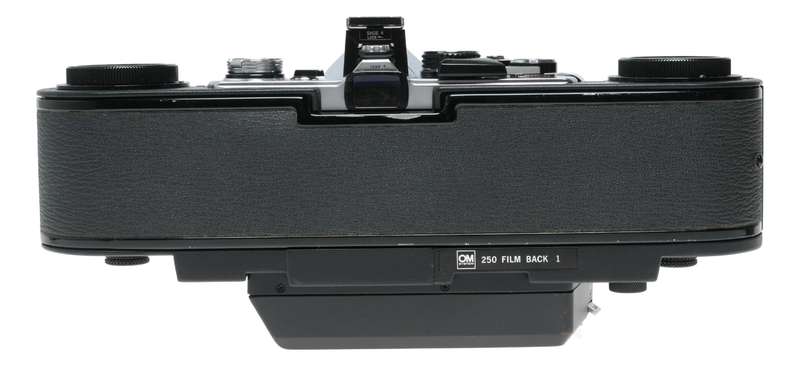 OM-2n Olympus 1.4/50mm 250 Film back 1 rare vintage 35 mm SLR camera