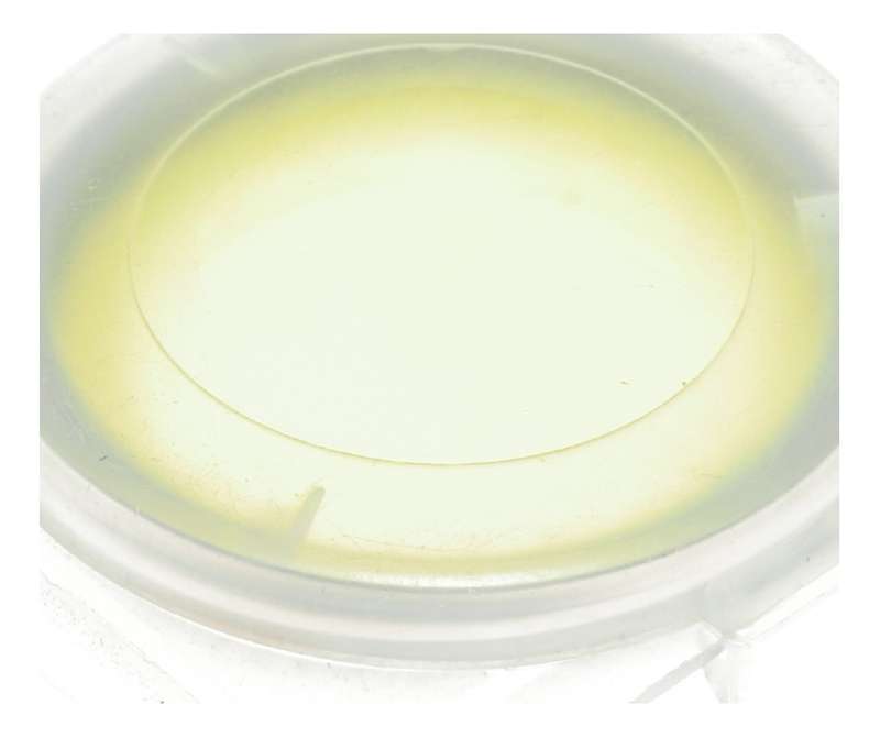 Leica Yellow 1 filter E43 Rare size Wetzlar Germany Leitz 43mm Summilux