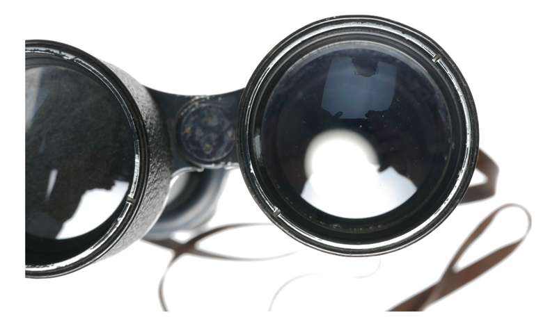 WWI Carl Zeiss Jena Delfort Binoculars 18x50 Original Leather Strap cased