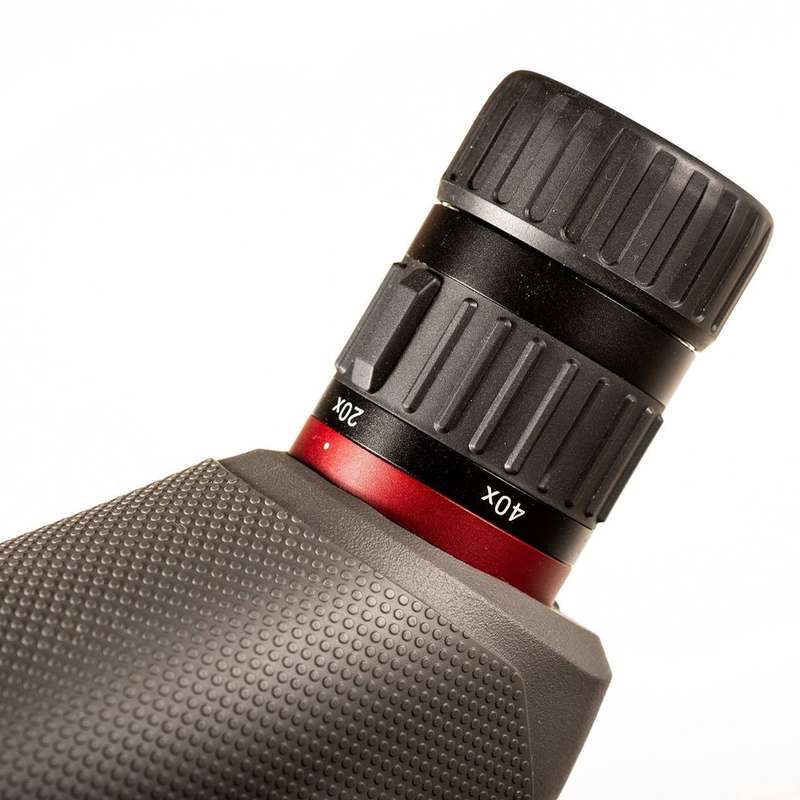 Bushnell Nitro 20-60&#215;65 Angled Spotting Scope