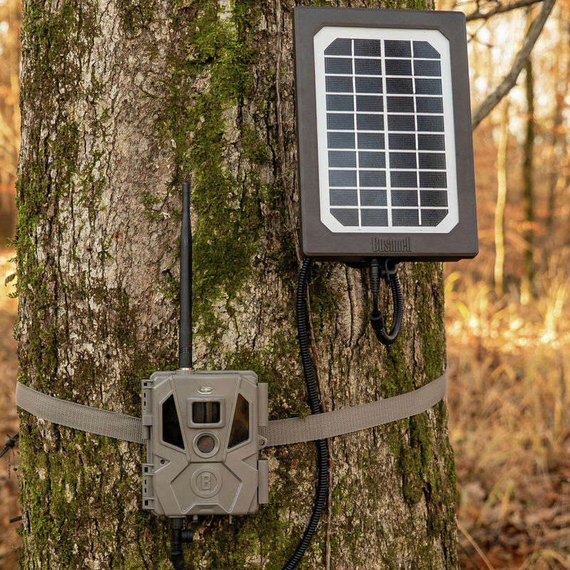 Bushnell Trail Camera</m...