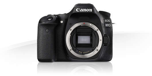 Canon EOS 80D Body (Used)