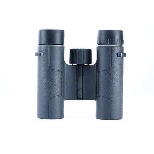 VANGUARD VESTA 10x25 Waterproof/Fogproof, Compact, Lightweight Binocular
