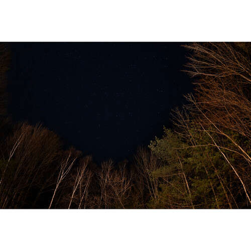 Sigma 15mm f/1.4 Fisheye DG DN Art Lens for Sony E