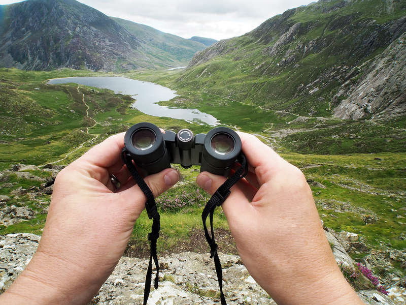 Kowa 22-8 8x22mm GENESIS PROMINAR XD Binocular