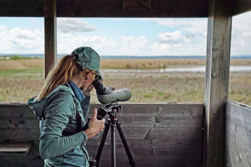 Kowa TSN-66A 66mm PROMINAR Spotter Zoom Kit