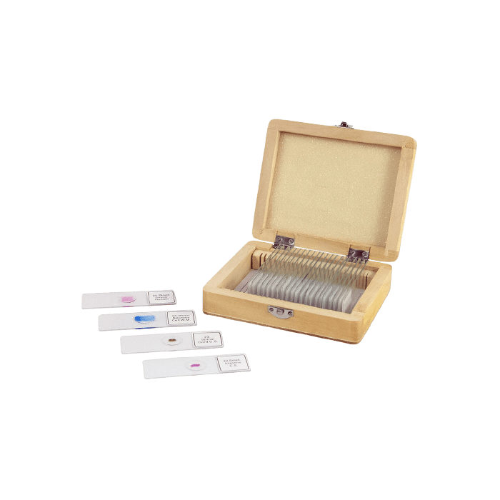 Celestron Prepared Slides Box of 25