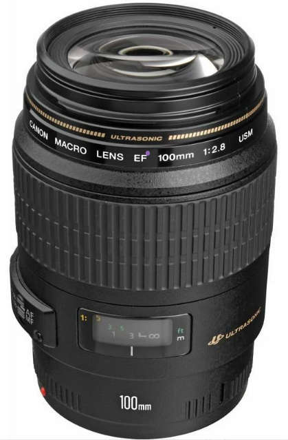 Canon EF 100mm f/2.8 Macro USM Lens (Used-1)