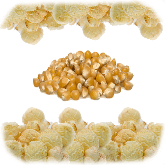 Mushroom Popcorn Kernels 25Kg
