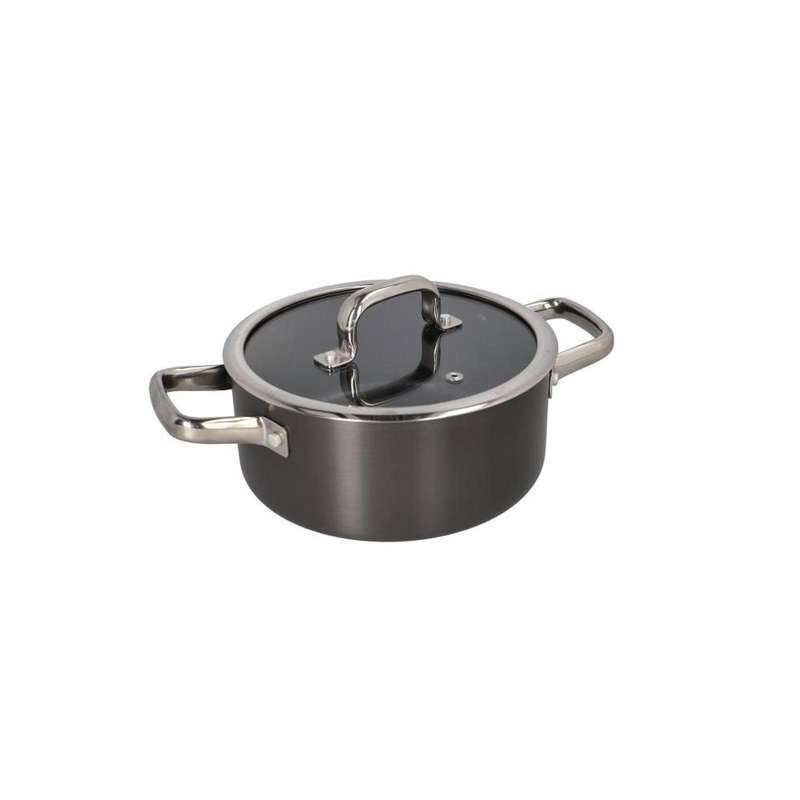 Aluminum Casserole Pot With Looped Handles Glass Lid 202Cm