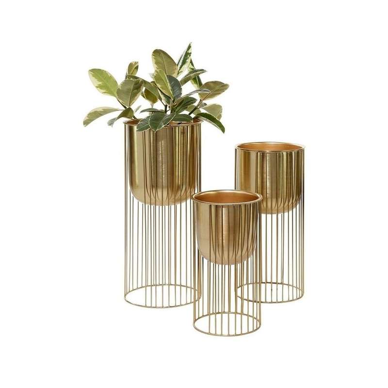 Spiraled Vine Shelf