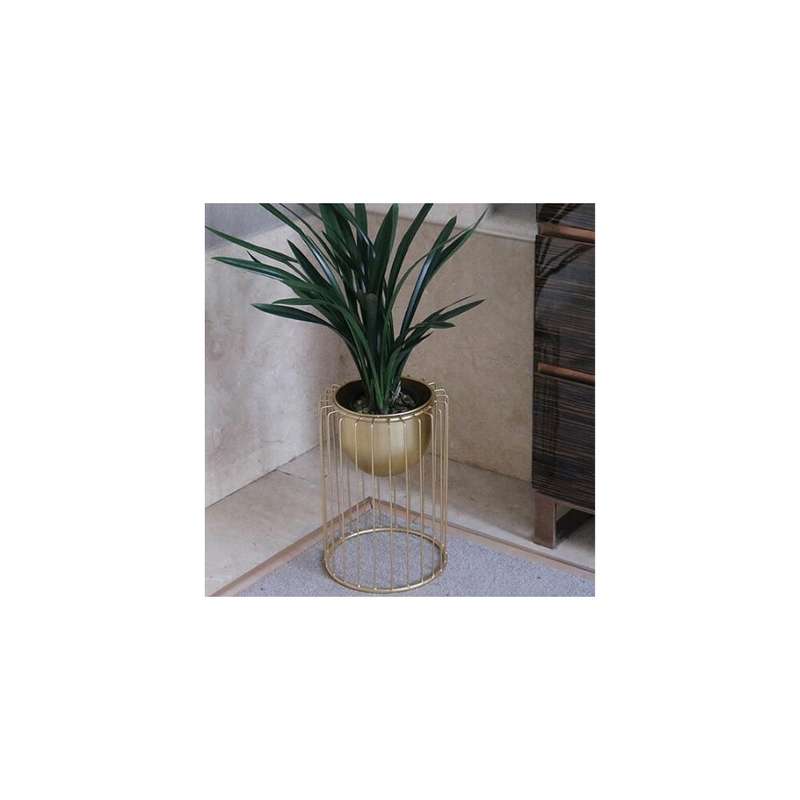 Spiraled Vine Shelf