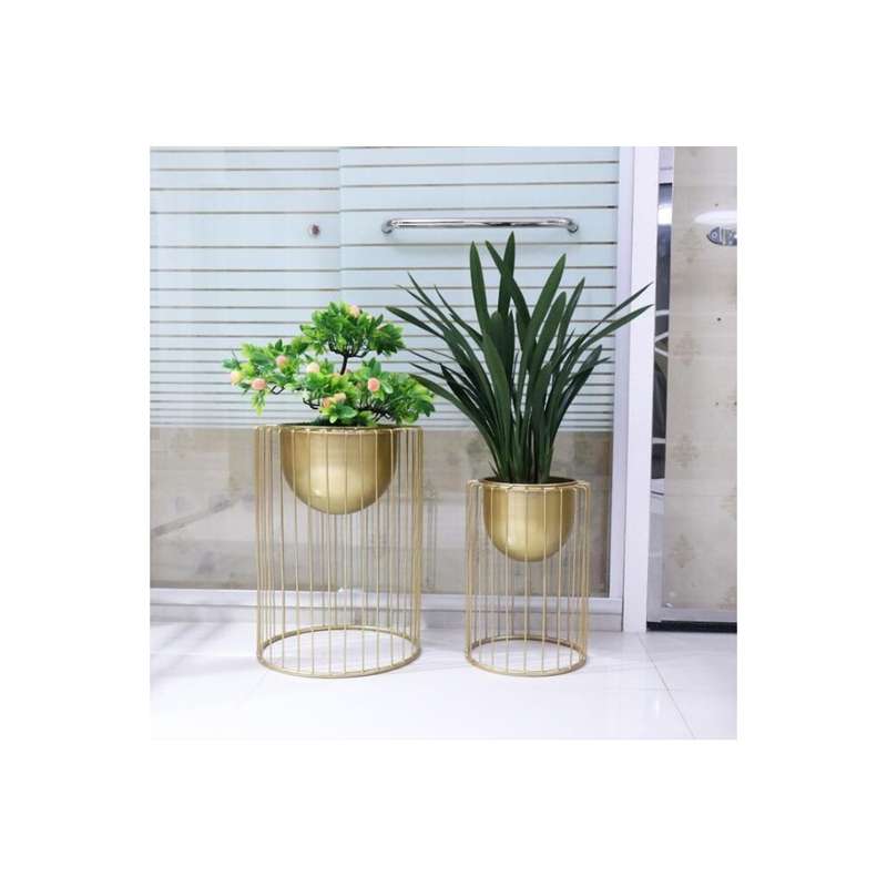 Spiraled Vine Shelf