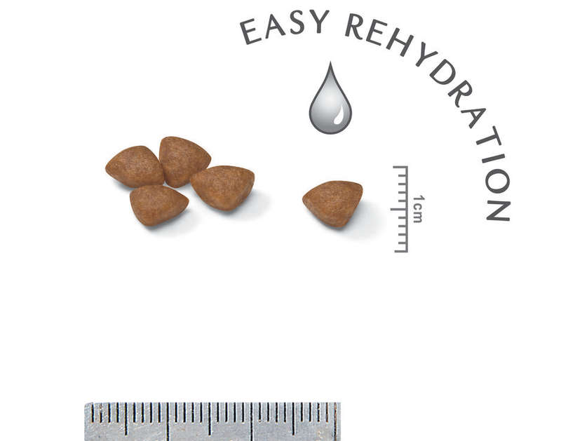 Mini Starter - 8.5kg
