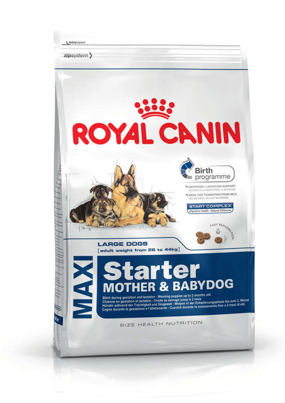 Maxi Starter Mother&Babydog - 15kg