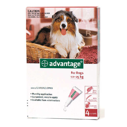 Advantage for Dogs (10-25kg) 4 pipettes