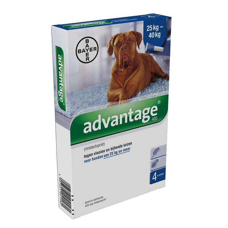 Advantage for Dogs (>25kg) 4 pippetes
