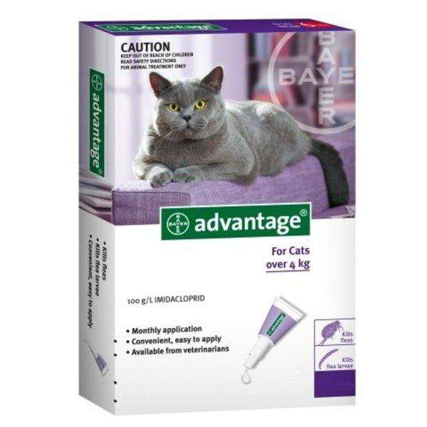 Advantage for Cats (>4kg) 4 pippets