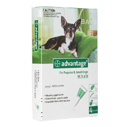 Advantage for Dogs (0-4kg) 4 pippets