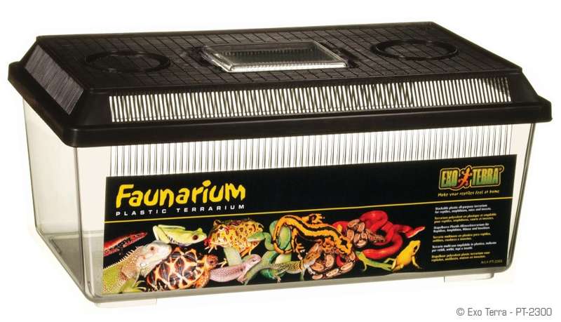 EXO TERRA FAUNARIUM - 36 x 21 x 16cm