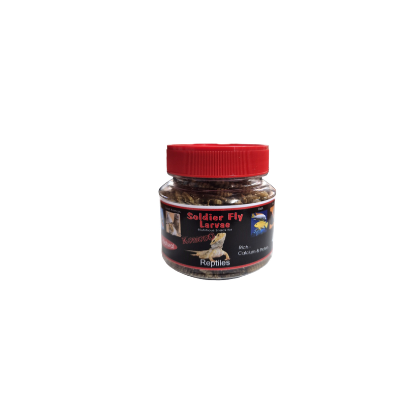 Soldier Fly Larvae Reptile 40g
